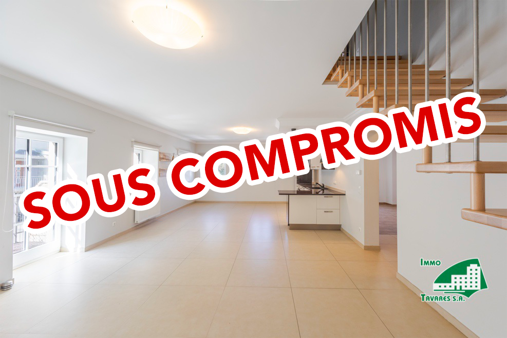 Beau duplex à Larochette